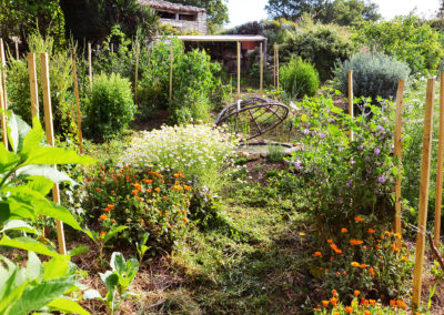 microferme permaculture