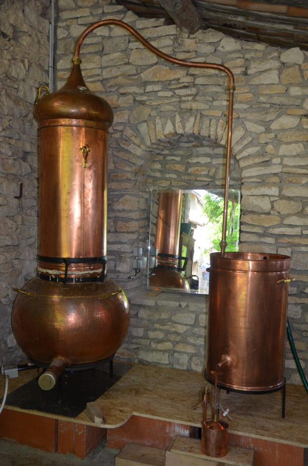 distillation domaine de l'essenciel Forcalquier